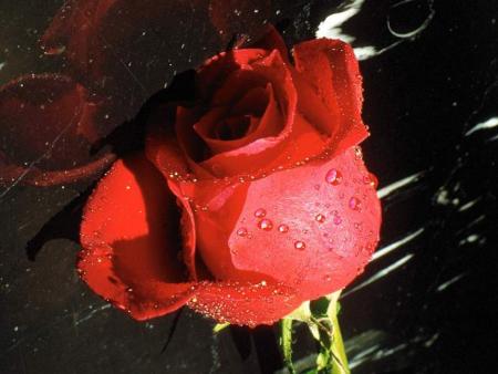 Rouge