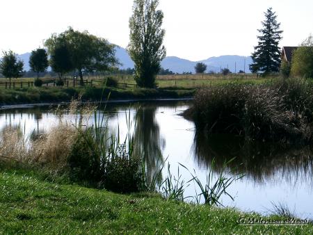 La campagne