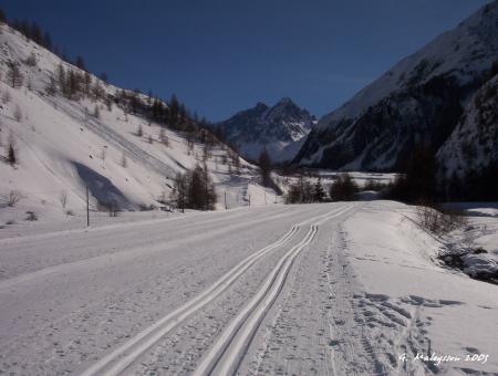 Ski de fond