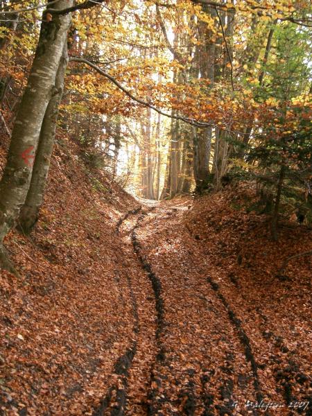 Bon chemin