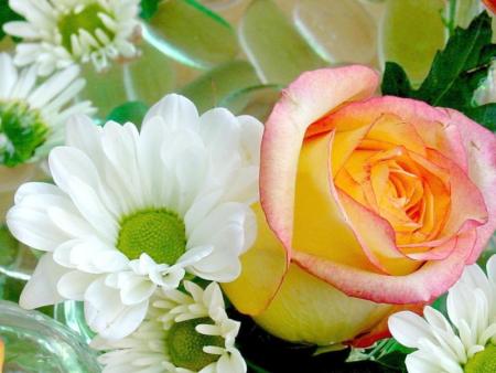 Plus d'amour ?