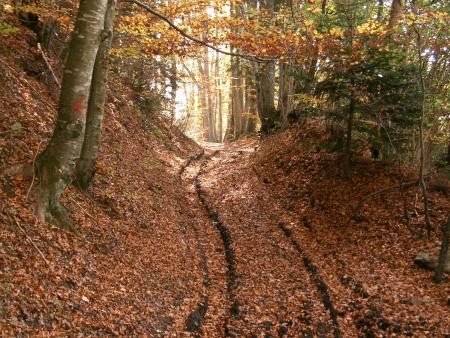 Automne