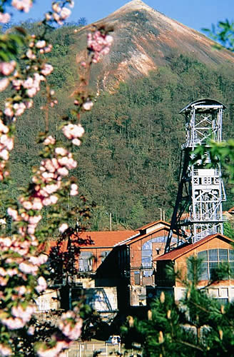 Mine
