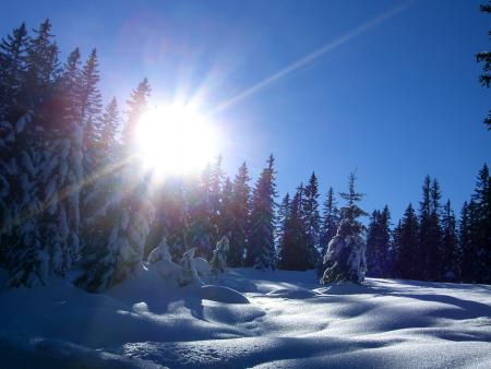 Hiver