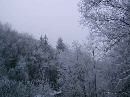 Givre