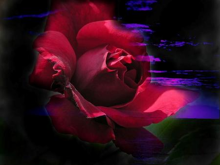 Rouge